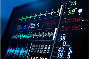 Pet Surgery in Westminster