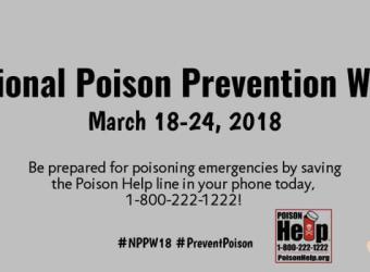 Poison Prevention for Your Pets